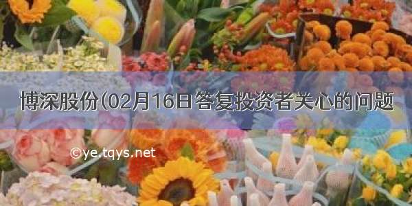 博深股份(02月16日答复投资者关心的问题