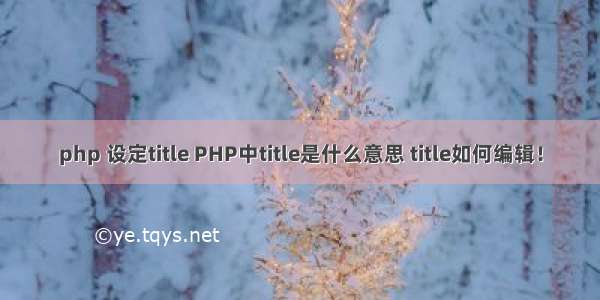 php 设定title PHP中title是什么意思 title如何编辑！