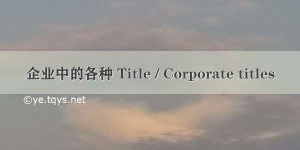 企业中的各种 Title / Corporate titles