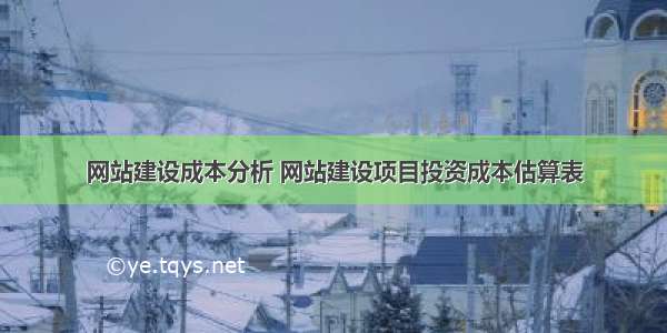 网站建设成本分析 网站建设项目投资成本估算表