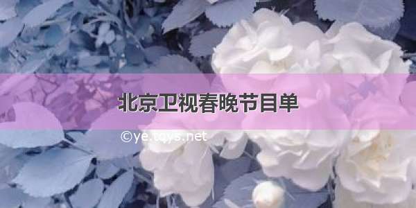 北京卫视春晚节目单