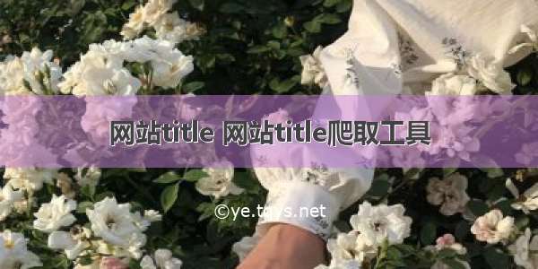 网站title 网站title爬取工具