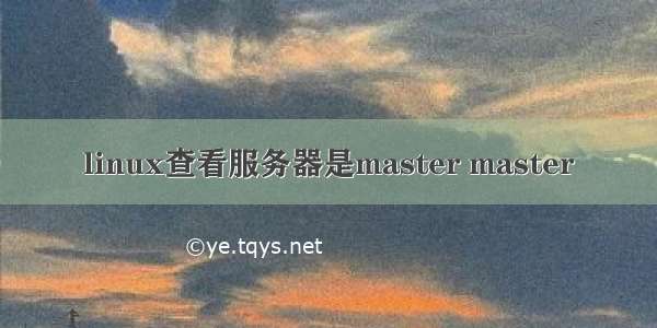 linux查看服务器是master master