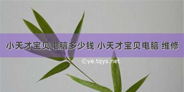 小天才宝贝电脑多少钱 小天才宝贝电脑 维修