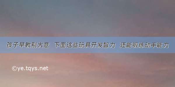 孩子早教别大意  下面这些玩具开发智力  还能锻炼动手能力