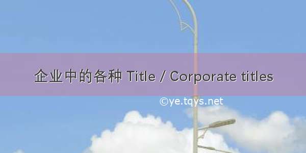 企业中的各种 Title / Corporate titles