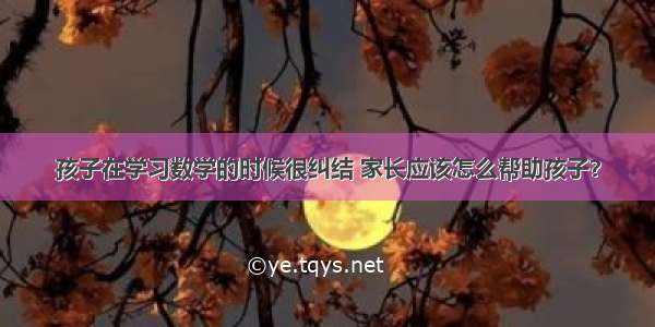 孩子在学习数学的时候很纠结 家长应该怎么帮助孩子？