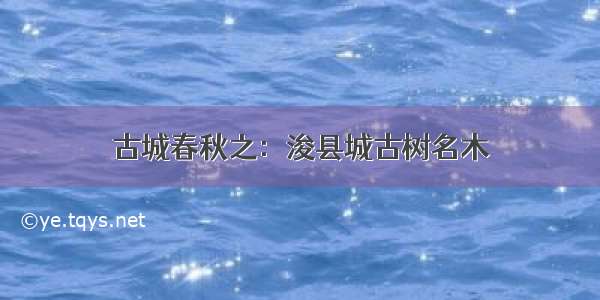 古城春秋之：浚县城古树名木