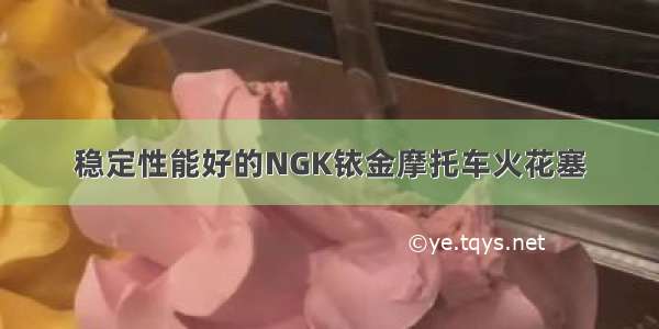 稳定性能好的NGK铱金摩托车火花塞