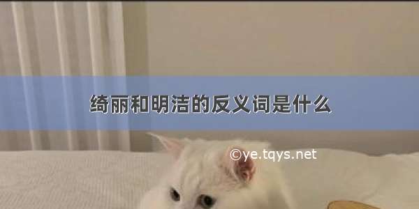 绮丽和明洁的反义词是什么