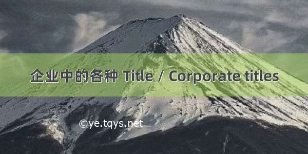 企业中的各种 Title / Corporate titles