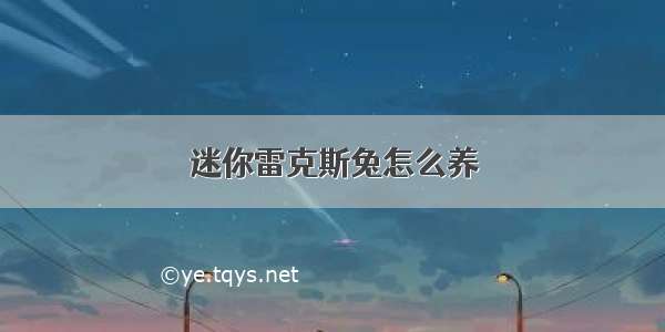 迷你雷克斯兔怎么养