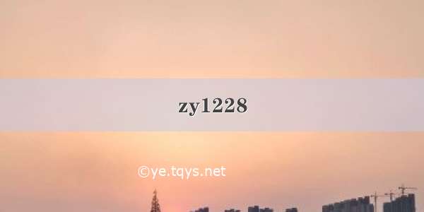 zy1228