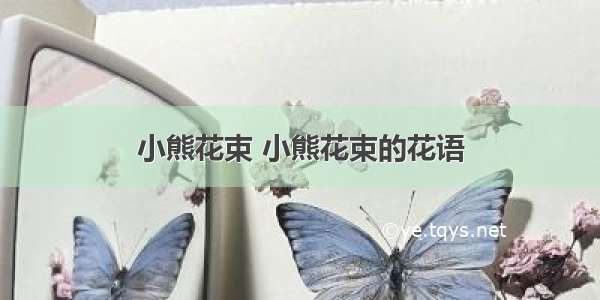 小熊花束 小熊花束的花语