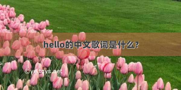 hello的中文歌词是什么?