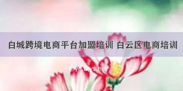 白城跨境电商平台加盟培训 白云区电商培训