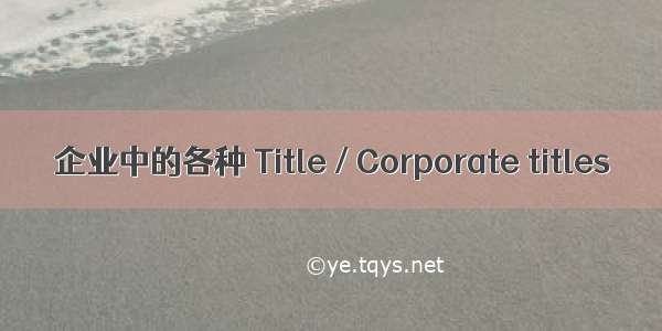 企业中的各种 Title / Corporate titles