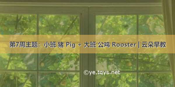 第7周主题：小班 猪 Pig + 大班 公鸡 Rooster | 云朵早教