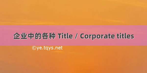 企业中的各种 Title / Corporate titles