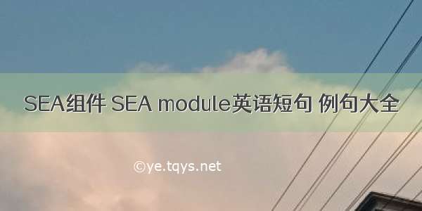 SEA组件 SEA module英语短句 例句大全