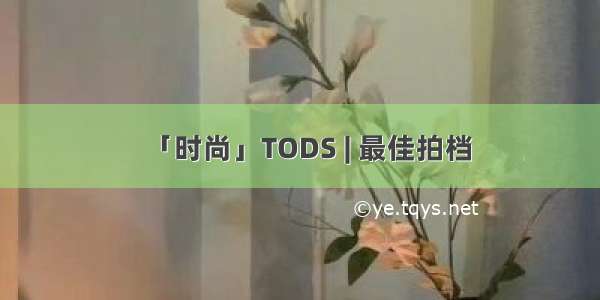 「时尚」TODS | 最佳拍档