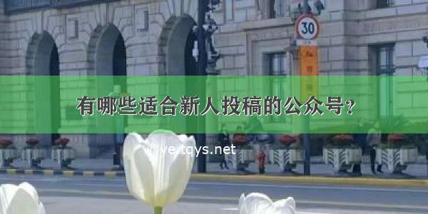 有哪些适合新人投稿的公众号？