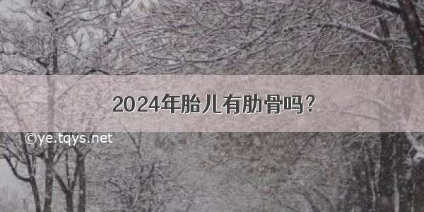 2024年胎儿有肋骨吗？