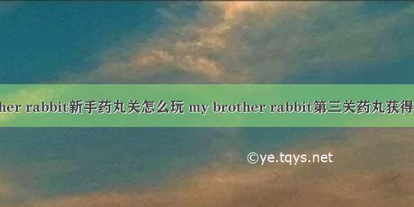 my brother rabbit新手药丸关怎么玩 my brother rabbit第三关药丸获得方法介绍