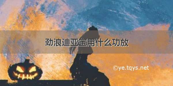 劲浪迪亚宝用什么功放