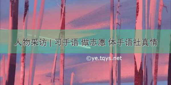 人物采访 | 习手语 做志愿 体手语社真情