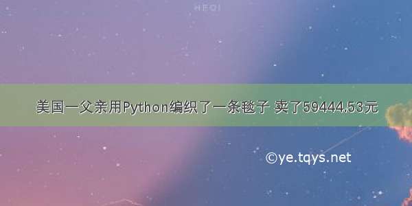 美国一父亲用Python编织了一条毯子 卖了59444.53元