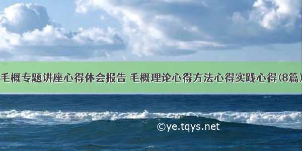 毛概专题讲座心得体会报告 毛概理论心得方法心得实践心得(8篇)