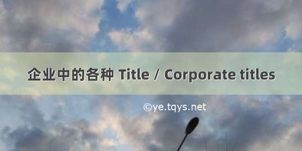 企业中的各种 Title / Corporate titles