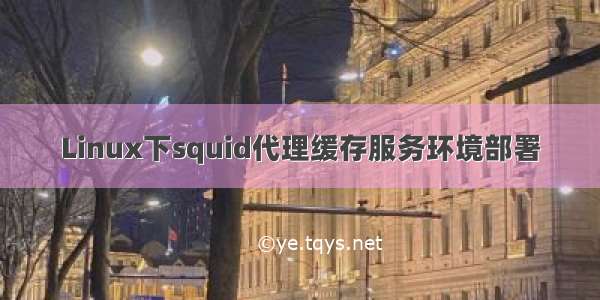 Linux下squid代理缓存服务环境部署