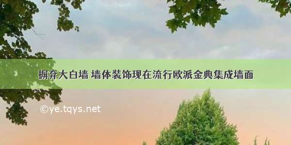 摒弃大白墙 墙体装饰现在流行欧派金典集成墙面