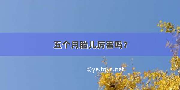 五个月胎儿厉害吗？