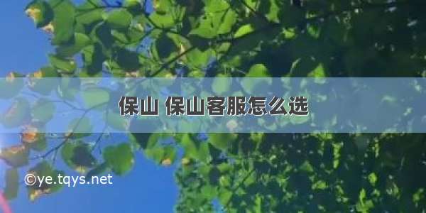 保山 保山客服怎么选