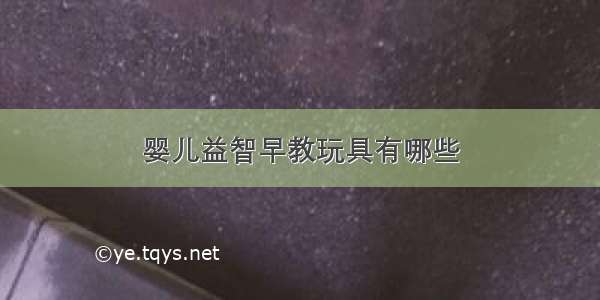 婴儿益智早教玩具有哪些