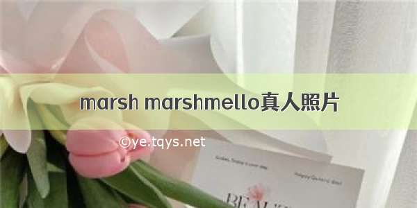 marsh marshmello真人照片