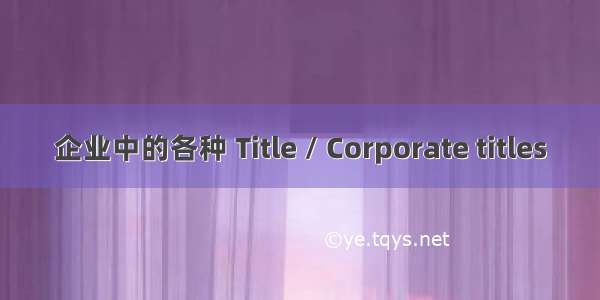 企业中的各种 Title / Corporate titles