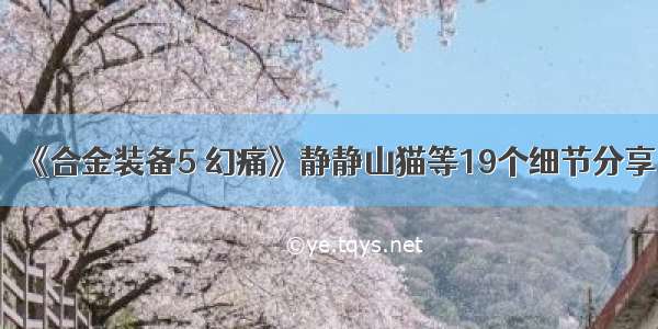 《合金装备5 幻痛》静静山猫等19个细节分享