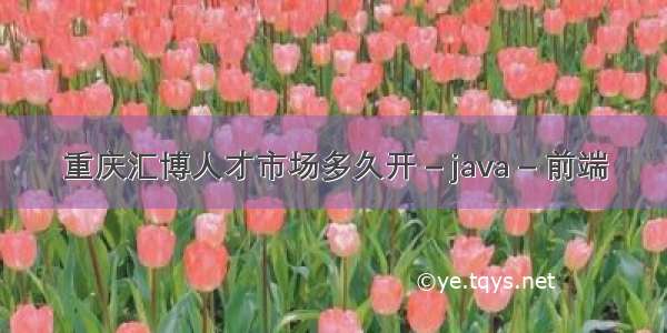 重庆汇博人才市场多久开 – java – 前端