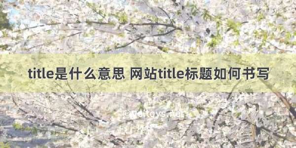 title是什么意思 网站title标题如何书写