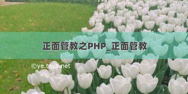 正面管教之PHP_正面管教