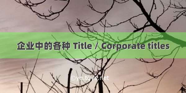 企业中的各种 Title / Corporate titles