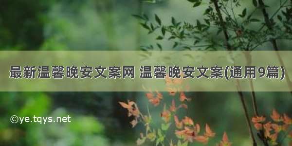 最新温馨晚安文案网 温馨晚安文案(通用9篇)