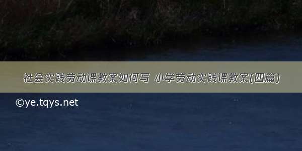 社会实践劳动课教案如何写 小学劳动实践课教案(四篇)